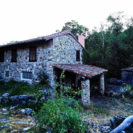 Molino 