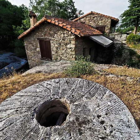 Molino 
