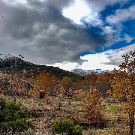Molino 