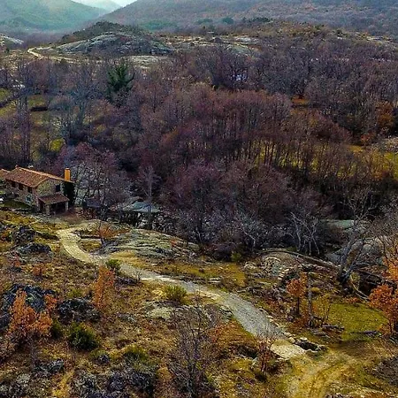 Molino 